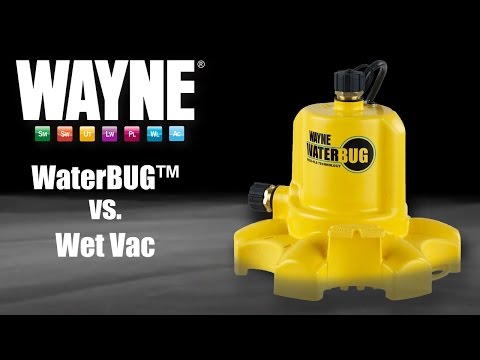 WaterBUG vs. WetVac