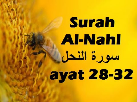 2013/09/02 Ustaz Shamsuri 785 - NE2 An Nahl ayat 28-32