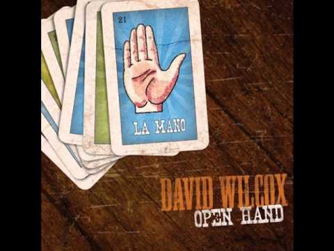 David Wilcox - Open Hand - Captain Wanker