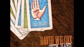 David Wilcox - Open Hand - Captain Wanker