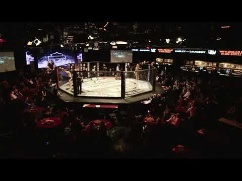 Shepherd vs devreught 2