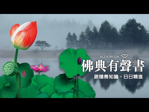 佛典有聲書110：藥師經23