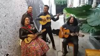 La Santa Cecilia - En el último trago