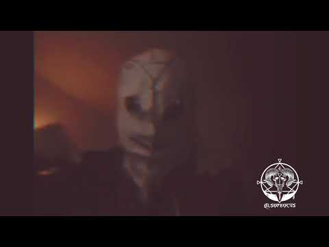 Alsophocus Sangre de Chinche