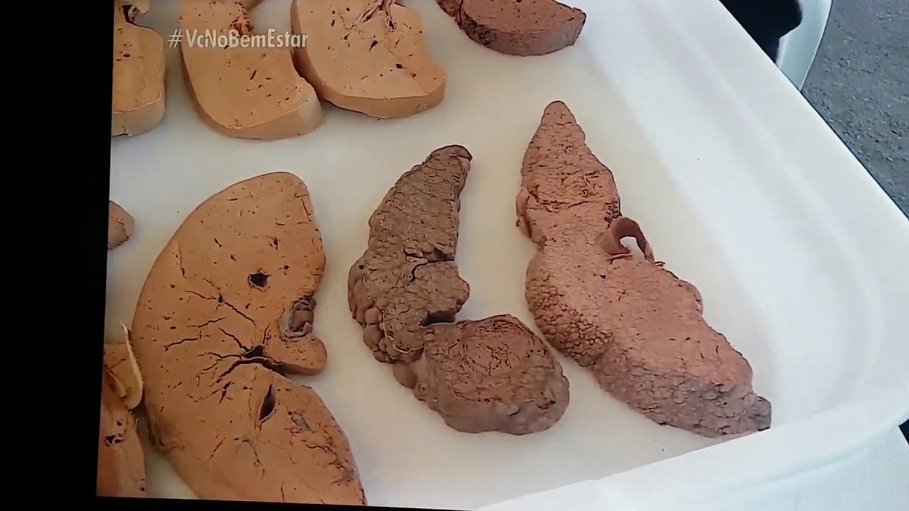 Fernanda Maria Farage Osorio-6