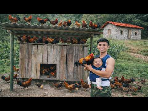 From Hardship to Happiness: A Veteran and Orphan Girl Trúc Lam Celebrate Their New Chicken Coop