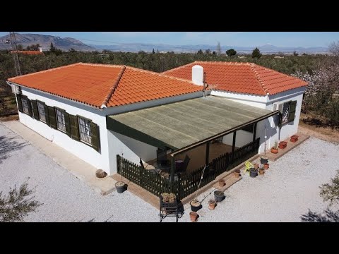 video image