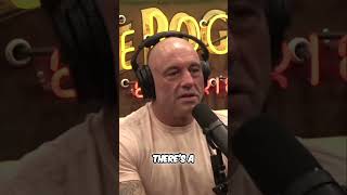 Why Legalizing Drugs Isn't the Solution  #interesting #podcast #joeroganexperience