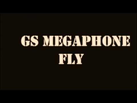 Fly video