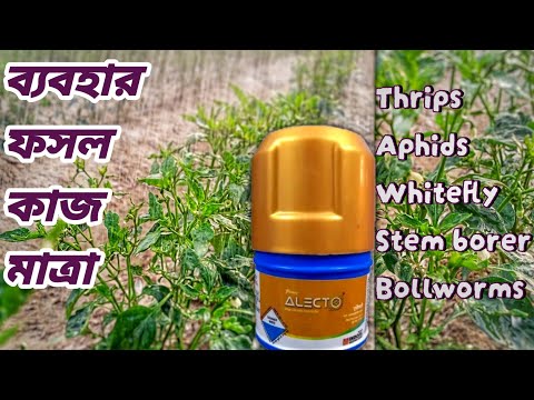 Alecto ইউজ করে কী সুবিধা পাওয়া যায়? জানুন বিস্তারিত/ALECTO insecticide