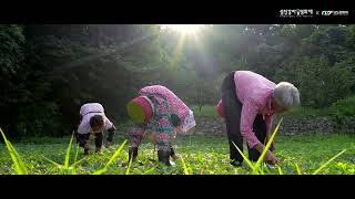 2023 제2회 섬진강마을영화제 트레일러 EP01