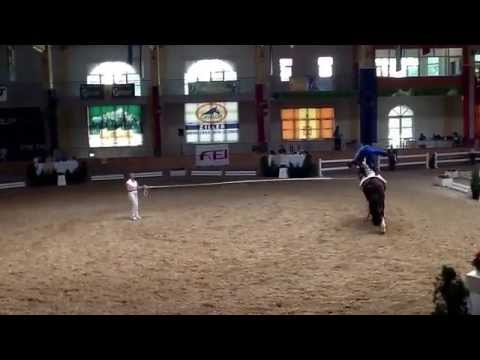 CVIO Stadl Paura 2014 - Viktor Brüsewitz - Freestyle