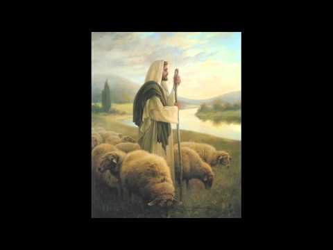 BT02   BD4726   Moje ovce poznaju moj glas     Otpor    480p