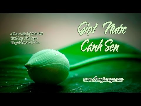 Giọt nước cánh sen