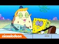 SpongeBob | Krijgt SpongeBob eindelijk zijn vaarbewijs?! | Nickelodeon Nederlands
