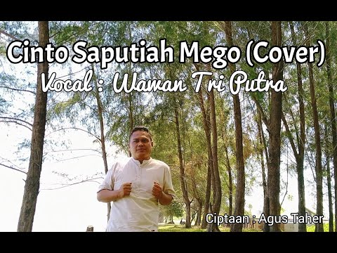 Cinto Saputiah Mego - Boy Shandy | Remix | (Cover)  WAWAN