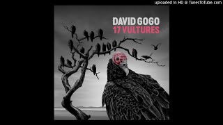David Gogo - Tomcat Prowl