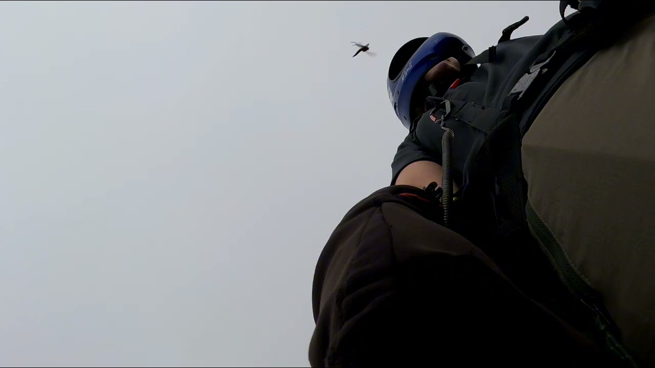 Do you believe in magic