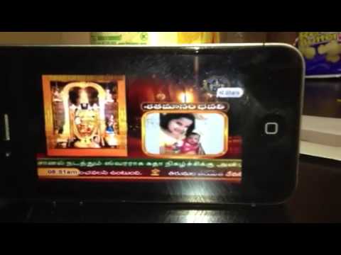 tanu and tarini wishes