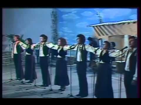 The Chassidic Festival Group - Hora medley (live in France, 1977)