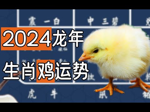 05年生肖
