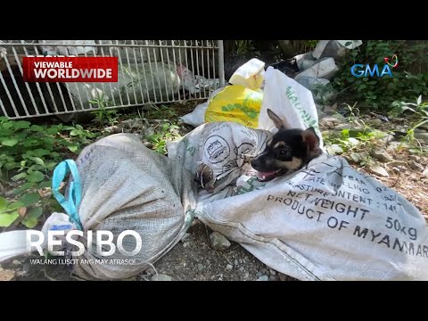 Suspek sa dog meat trade, natimbog ng mga awtoridad! Resibo