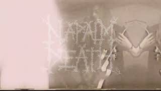 Napalm Death: Blind to the truth