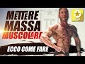 La fase di MASSA ▪ METTERE MASSA MUSCOLARE
