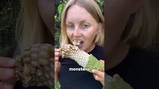 Download lagu These people are crazy enough to eat a poisonous fruit!! mp3