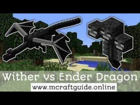 Reazione alle novità 1.17+uccisione Whiter e Drago-Minecraft ITA