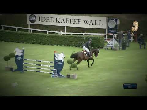 Sixpack, geb. 2015, v. Schenkenberg - Calido I - Landgraf I