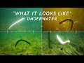 4 Wacky Rigging Methods What It Looks Like Underwater