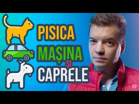 Știți problema cu sfoara și pisica?