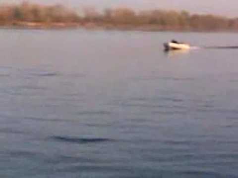 Brig Dingo 300 + Yamaha 8 HP - Vistula River - part 1