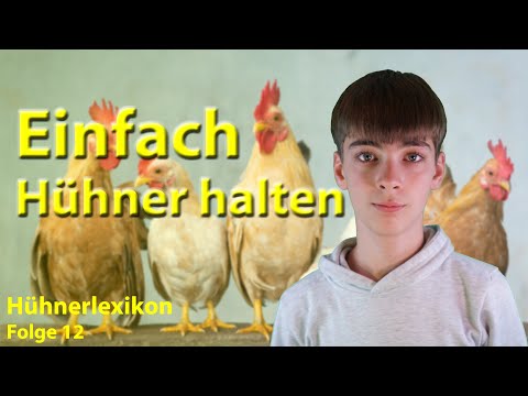 So macht ihr euch das Leben mit Hühnern leichter! 8 nützliche Tipps zur besseren Hühnerhaltung
