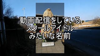 相鉄9000の駅訪問2nd season第6回 高速バスで行く千葉のローカル線 [鉄道旅ゆっくり実況]