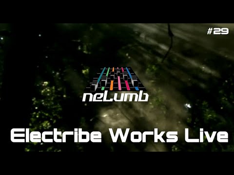 Electribe Works #29 - Nelumb