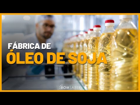 HOW COOKING OIL IS MADE - Industrial Process🟣GOOD TO KNOW