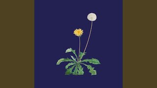 Cover art for satellite