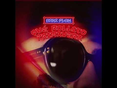 Que rollito primavera - Dani Flow