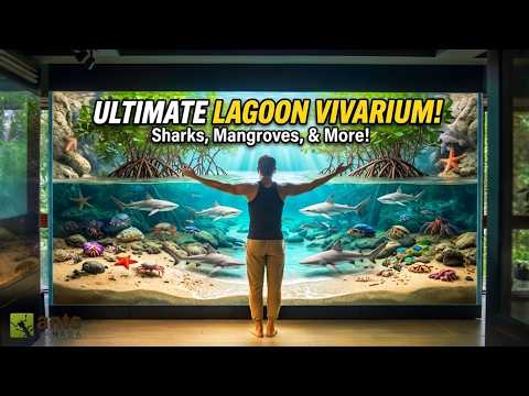 Building the Ultimate Lagoon Ecosystem Vivarium