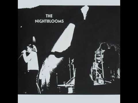 The Nightblooms - Live 1991 (Dutch Shoegaze)