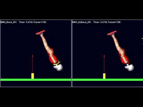 Leatt Brace Dummy Test Side Large RMW