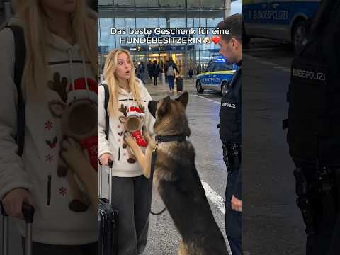 Link in meinem Profil 🥺🎄❤️ #Hunde#hundemama  #hundevideos