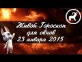 Гороскоп Овен на 23 января от Зайки Zoobe 