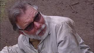 Trailer: JAPÓN A LO LEJOS