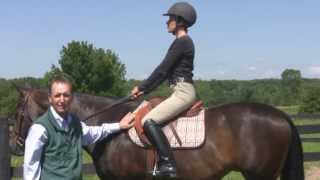 How to Fit Your Saddle for Horse and Rider with Schneiders