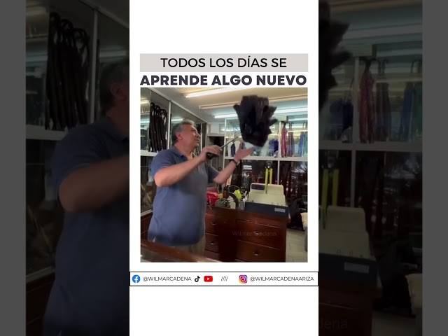 Vídeo relacionado con Paraguas de Burbuja - Estampado de Sonic con Anillos - Color Azul - Apertura Manual - Elaborado en 100% POE con Estructura de Fibra de Vidrio - Producto Original