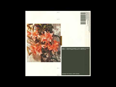 Polygonia, Simon Popp - Honsu