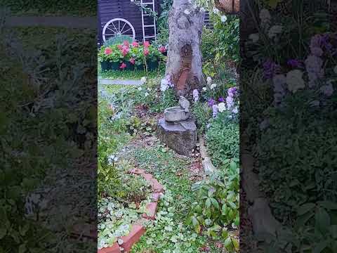 新しい季節を安全に始めるために、冬に庭を害虫から守るにはどうすればよいですか？  庭園